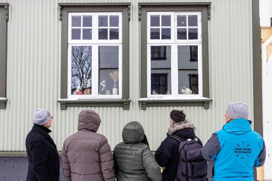 Reykjavik: Feline-Focused City Walking Tour - An hour at the Reykjavik Cat Coffee House
