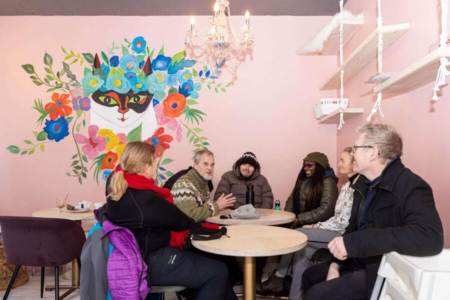 Reykjavik: Feline-Focused City Walking Tour - Hallgrímskirkja and the Einar Jónsson Museum