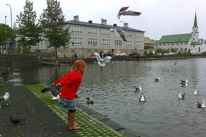 Reykjavik Food Tour and City Walk - PRIVATE TOUR - The oldest café and a proper Icelandic pause