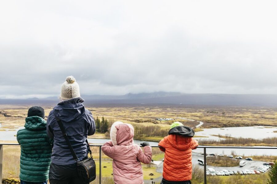 Reykjavik: Golden Circle, Crater & Blue Lagoon Minibus Tour - Food, clothing, and useful preparation