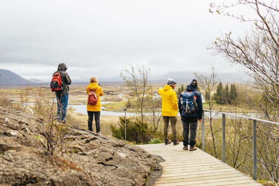 Reykjavik: Golden Circle, Crater & Blue Lagoon Minibus Tour - Guides, buses, and the human side of the trip