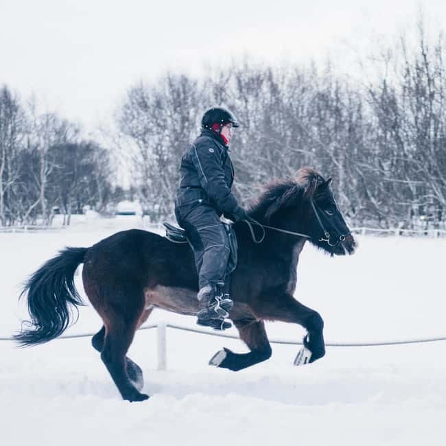 Reykjavik: Golden Circle, Fridheimar, & Sky Lagoon Day Trip - The guide can shape the whole day
