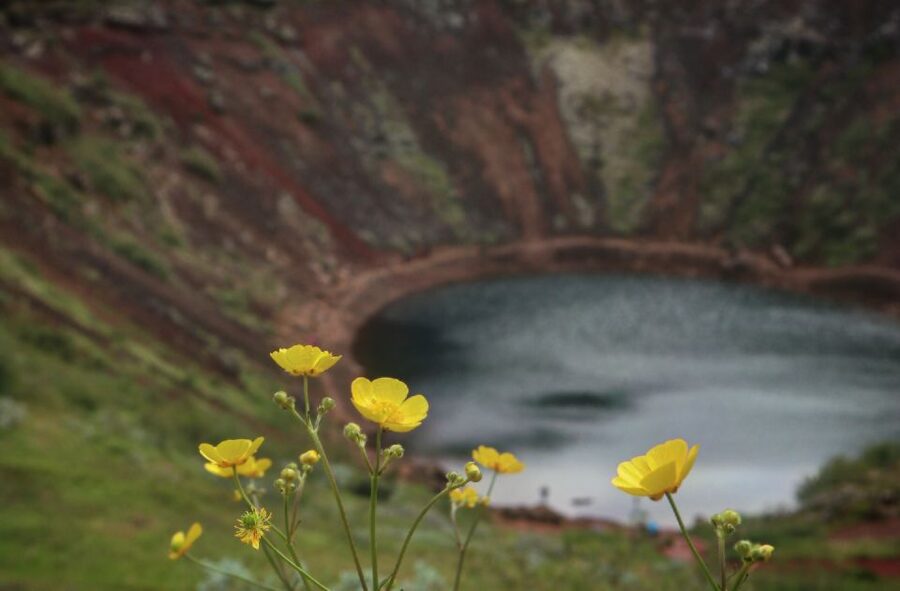 Reykjavík: Golden Circle Geological Jeep Day Trip - What the $233 price buys you