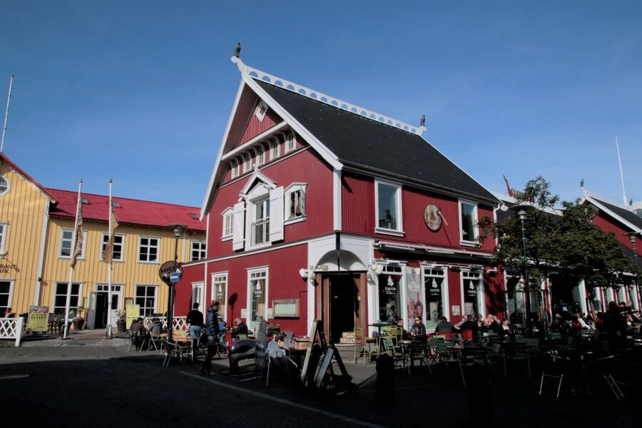 Reykjavik: Guided City Walking Tour - A short look at Iceland’s republic