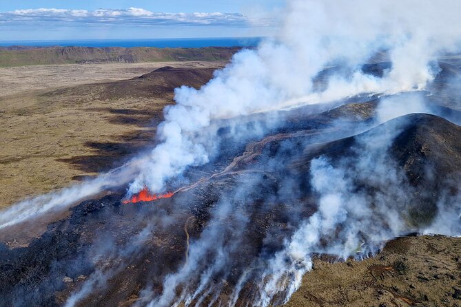 Reykjavik Helicopter Private Tour of Volcanoes - Atlantic cliffs, rock formations, and nesting birds