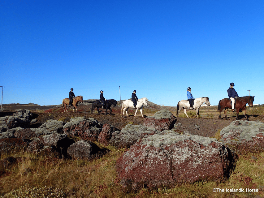 Reykjavík: Horse Riding Tours - Why Icelandic horses make this ride special