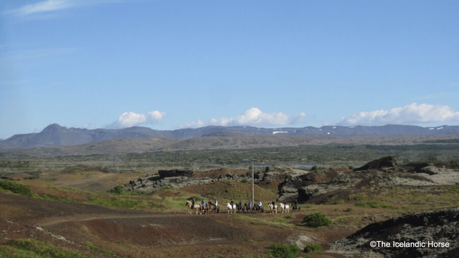 Reykjavík: Horse Riding Tours - Riding through Redhill and the volcanic country