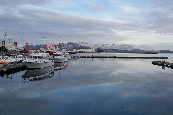 Reykjavik Main Sights and Hidden Spots: A Self-Guided Audio Walk - Harpa Concert Hall: a worthwhile free stop