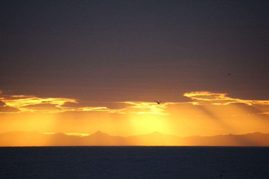 Reykjavík: Midnight Sun Whale Watching Cruise - Key points to know before sailing