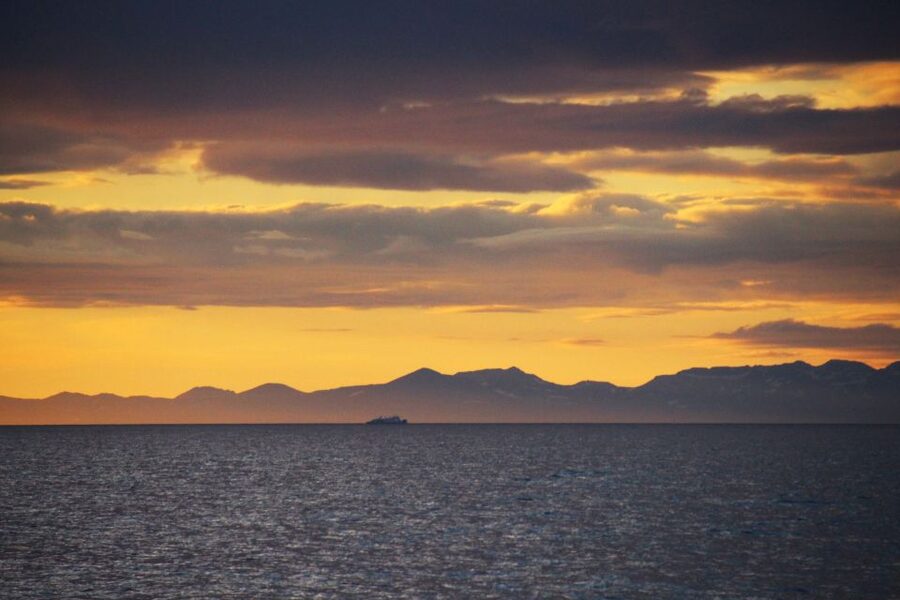 Reykjavík: Midnight Sun Whale Watching Cruise - The midnight sun is half the attraction
