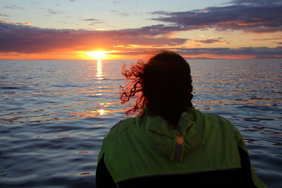 Reykjavík: Midnight Sun Whale Watching Cruise - Is $106 a fair price?