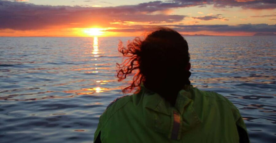 Reykjavík: Midnight Sun Whale Watching Cruise - Why Faxaflói Bay makes a good whale-watching setting