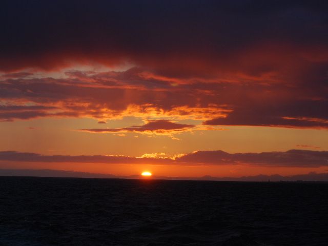 Reykjavik: Midnight Sun Whale Watching Tour - The midnight sun is part of the tour