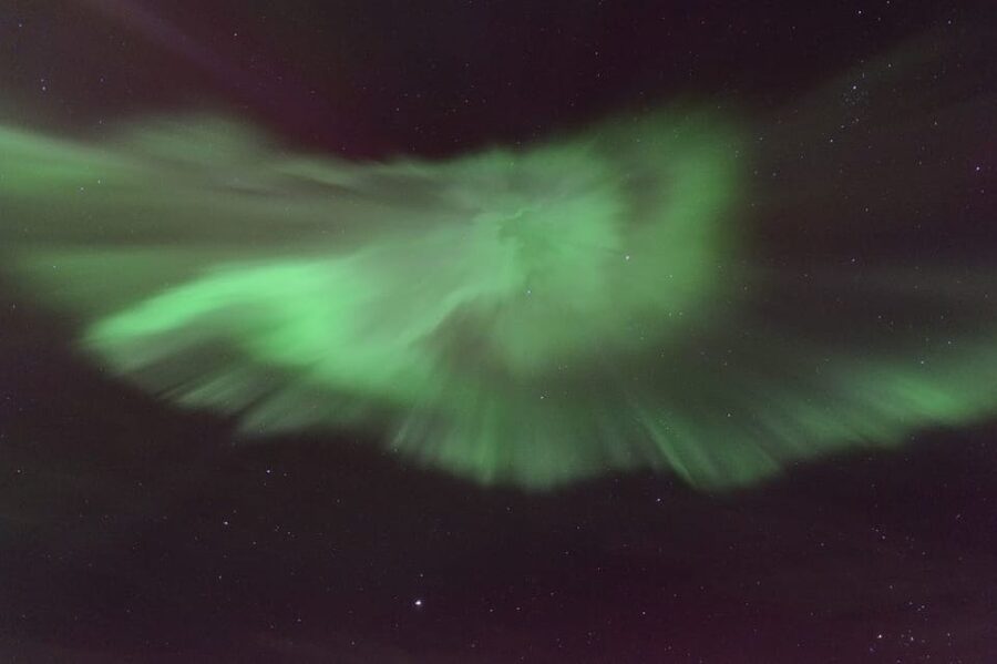 Reykjavík: New Year's Eve Northern Lights Yacht Cruise - Booking flexibility and current availability