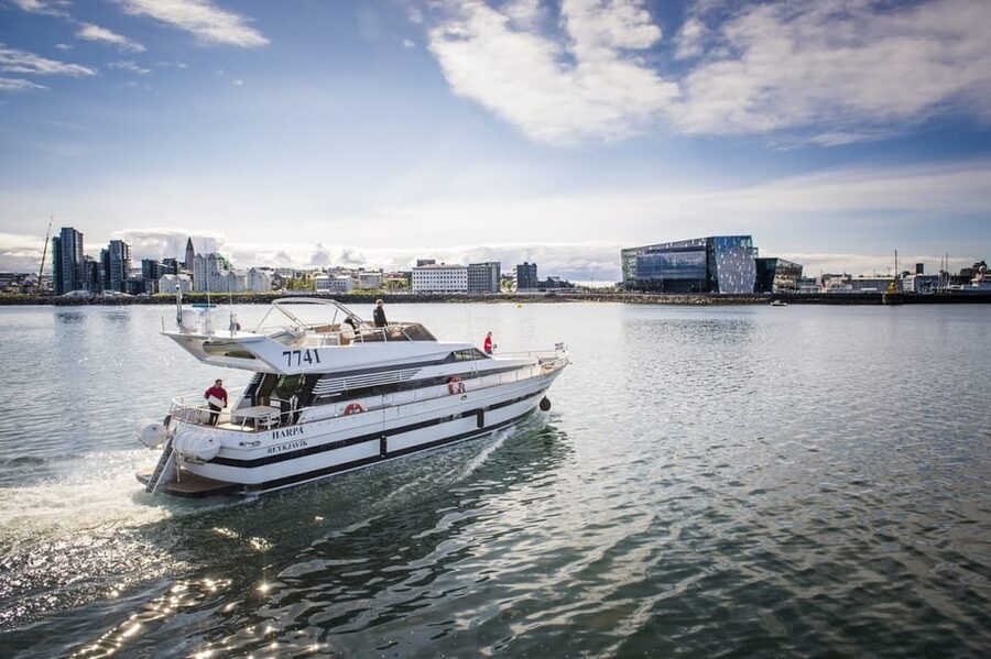 Reykjavík: New Year's Eve Northern Lights Yacht Cruise - Searching the dark sky for Northern Lights