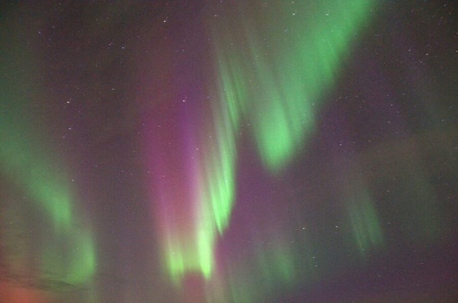 Reykjavík: New Year's Eve Northern Lights Yacht Cruise - Who will enjoy this cruise most?