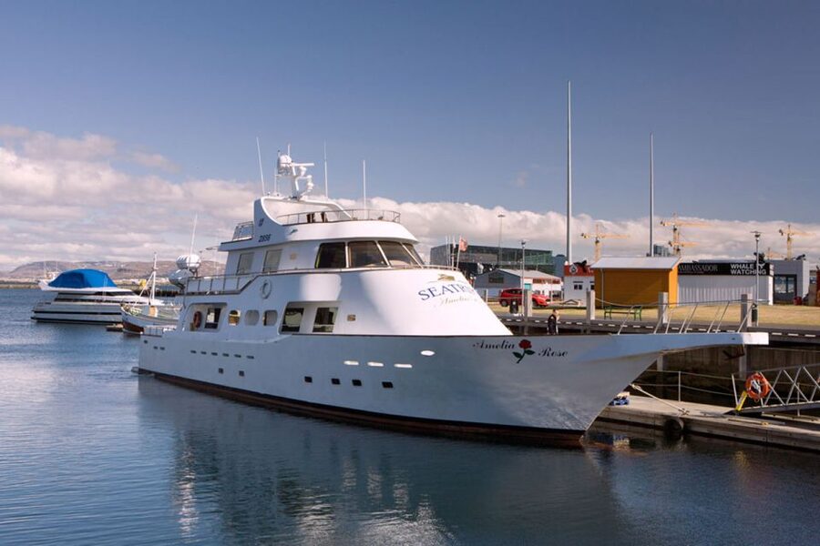 Reykjavik: New Years Fireworks Midnight Cruise - Practical tips for a smoother New Year’s night