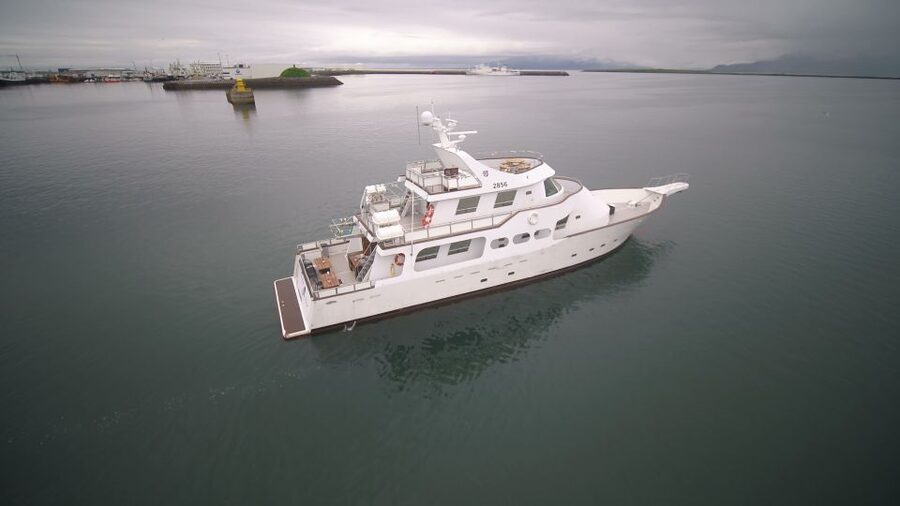 Reykjavik: New Years Fireworks Midnight Cruise - Who will enjoy this cruise most