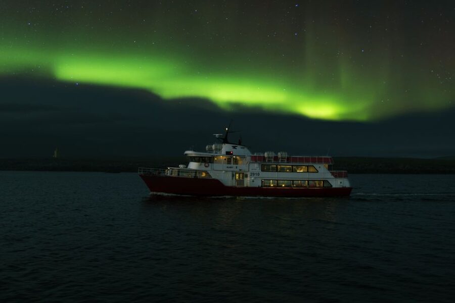 Reykjavík: Northern Lights Cruise - Warmth, comfort, and the long wait