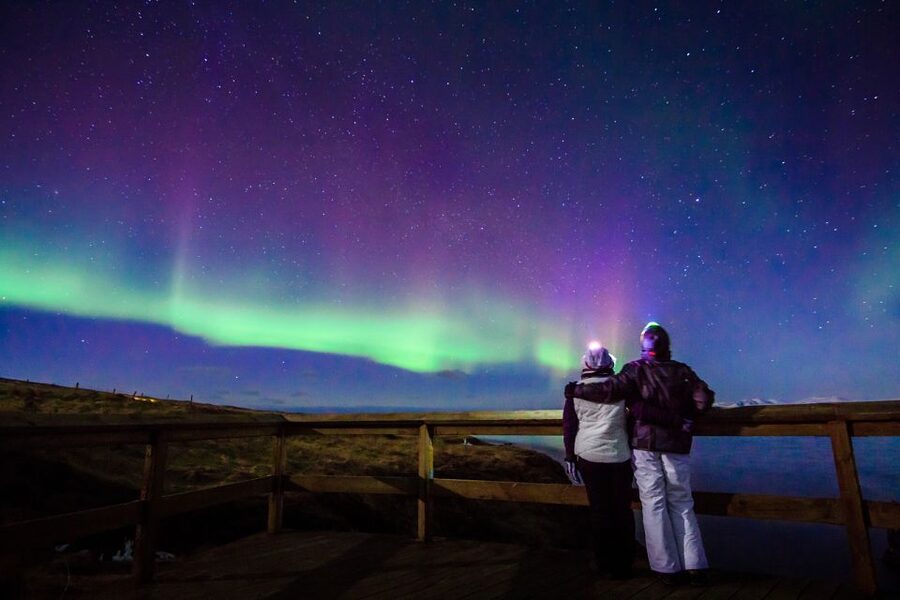 Reykjavík: Northern Lights Minibus Tour with Photos - Is $102 a fair price?