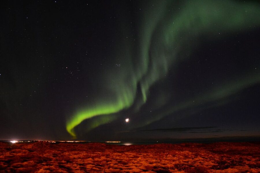 Reykjavik: Northern Lights Motor Yacht Cruise - Is $99 a fair price?