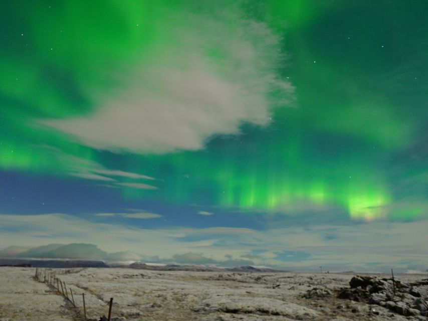 Reykjavik: Northern Lights Tour w/Pro Photos - Small Group - Is $148 a good value?