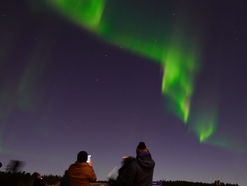 Reykjavik: Northern Lights Tour w/Pro Photos - Small Group - Who should book this experience?