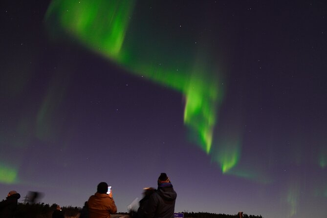 Reykjavik Northern Lights Tour with Pro Aurora Photos Small Group - Cocoa, cookies, and Viking fun