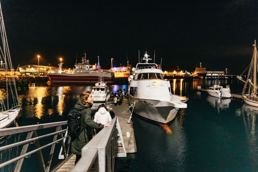 Reykjavik: Northern Lights Yacht Tour - Waiting for the aurora