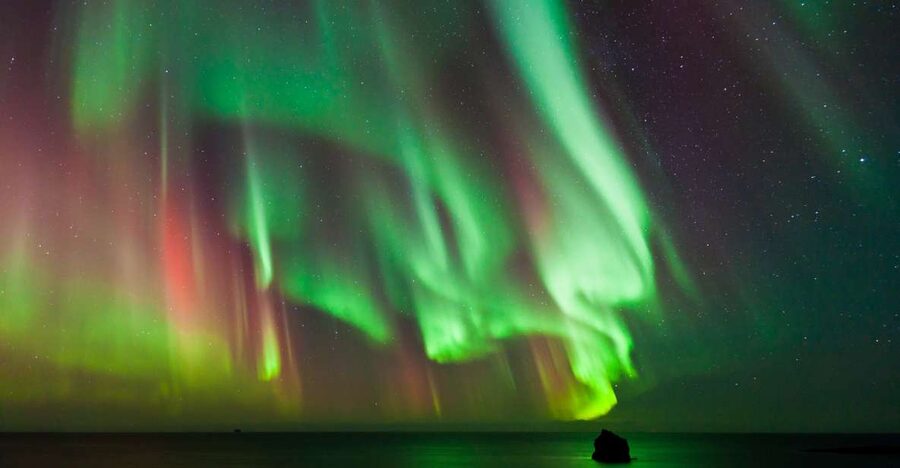 Reykjavik: Premium Northern Lights Tour with Free Photos - Hot chocolate, cinnamon buns, and wool blankets