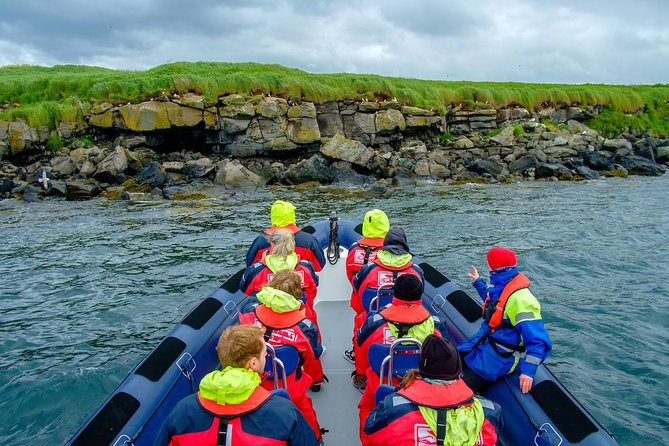 Reykjavik Premium Puffin tour | Close Up and Personal - The Guide’s Role Makes the Hour Better