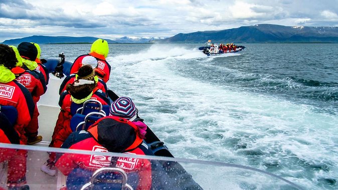 Reykjavik Premium Puffin tour | Close Up and Personal - Warm Clothing, Safety, and Physical Demands