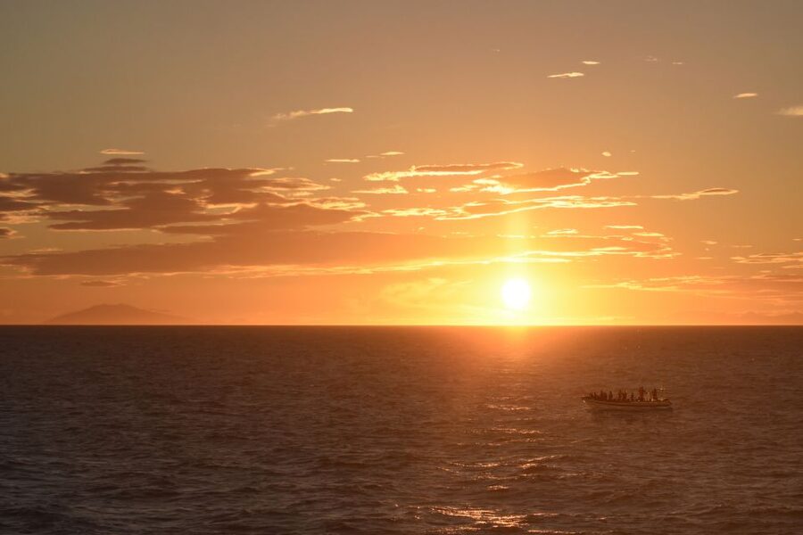 Reykjavik: Premium Whale and Puffin Watching Evening Tour - Why an evening whale tour works so well in Reykjavík