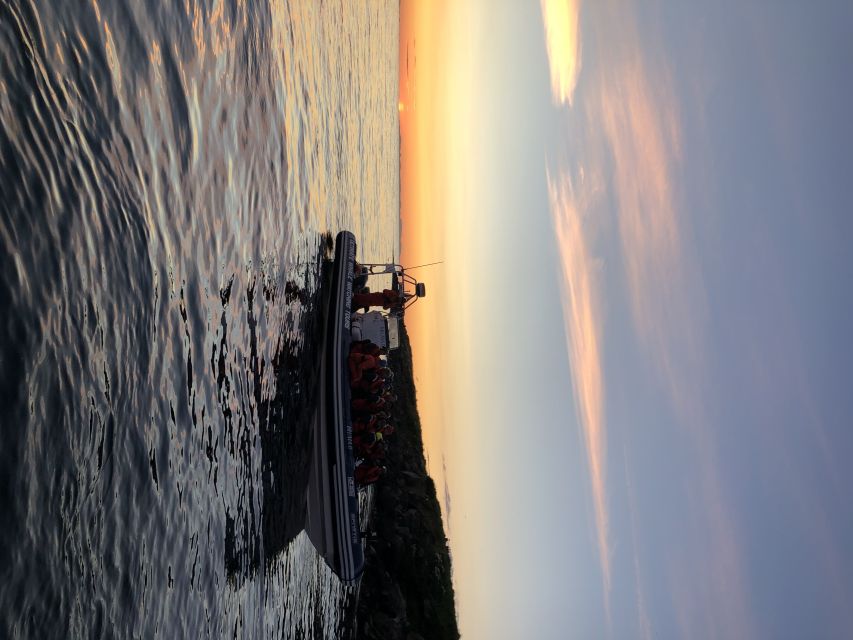 Reykjavik: Premium Whale and Puffin Watching Evening Tour - How to plan the rest of your day