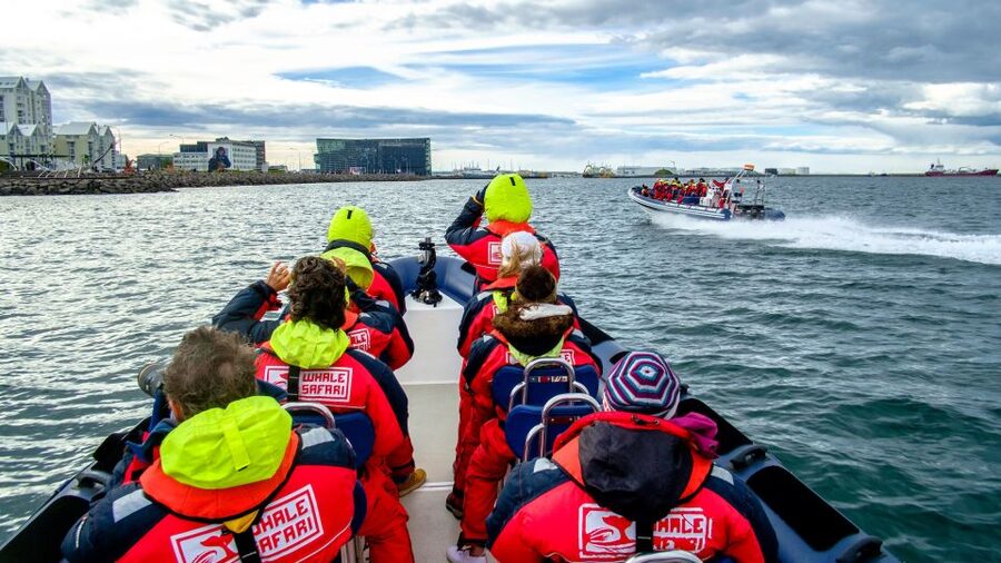 Reykjavik: Premium Whale Watching with Flexible Ticket - Returning along Reykjavík’s shoreline