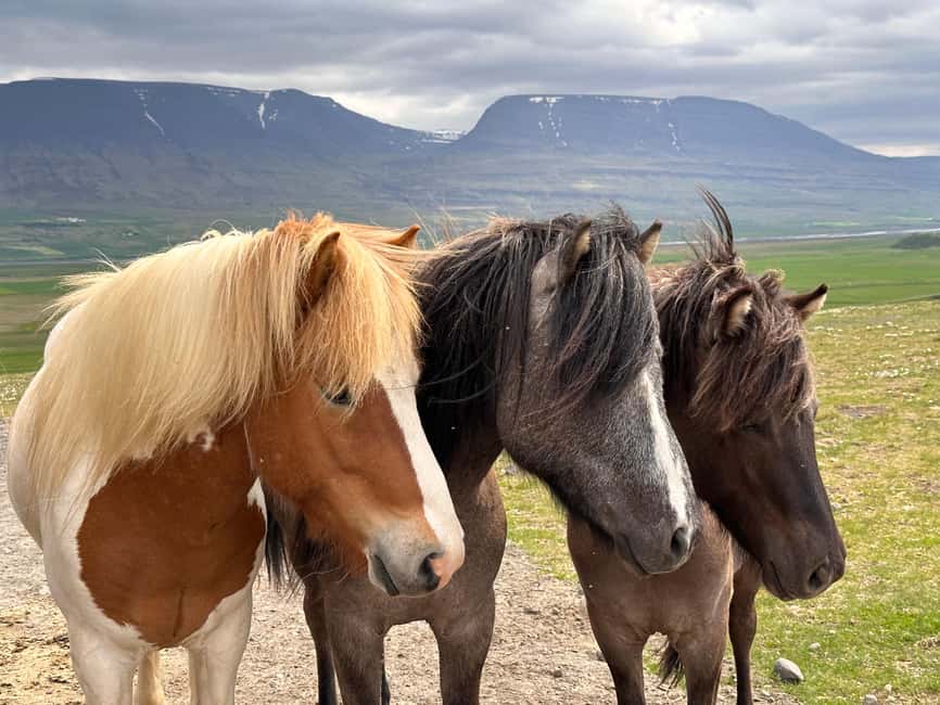 Reykjavik: PRIVATE Golden Circle tour with 5 TOP stops - Gullfoss is the day’s big visual payoff