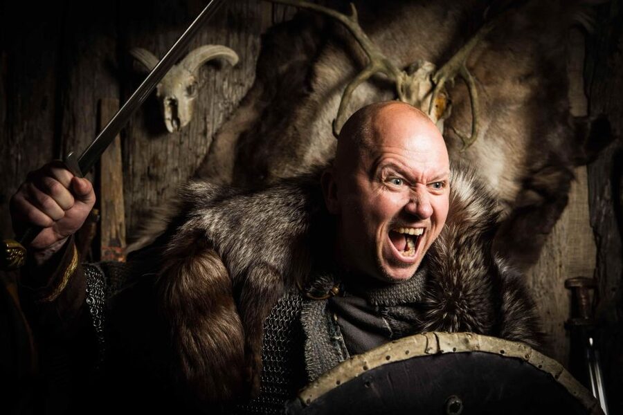 Reykjavik: Private Icelandic Viking Age Walking Tour - Key points to know before booking