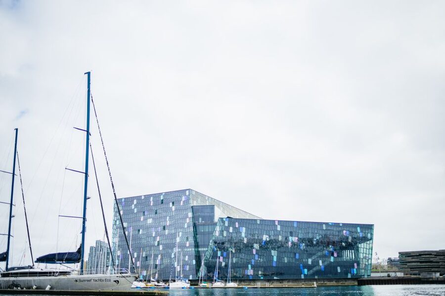 Reykjavik: Puffin Watching Boat Tour - Who should book this Reykjavik boat trip?