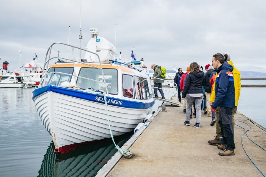 Reykjavik: Puffin Watching Boat Tour - The guide can make or break a short trip