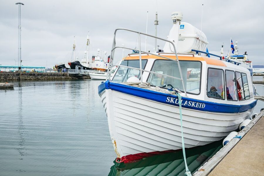 Reykjavik: Puffin Watching Boat Tour - Is $64 good value for one hour?
