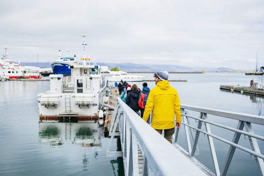 Reykjavik: Puffin Watching Boat Tour - Comfort, clothing, and practical preparation