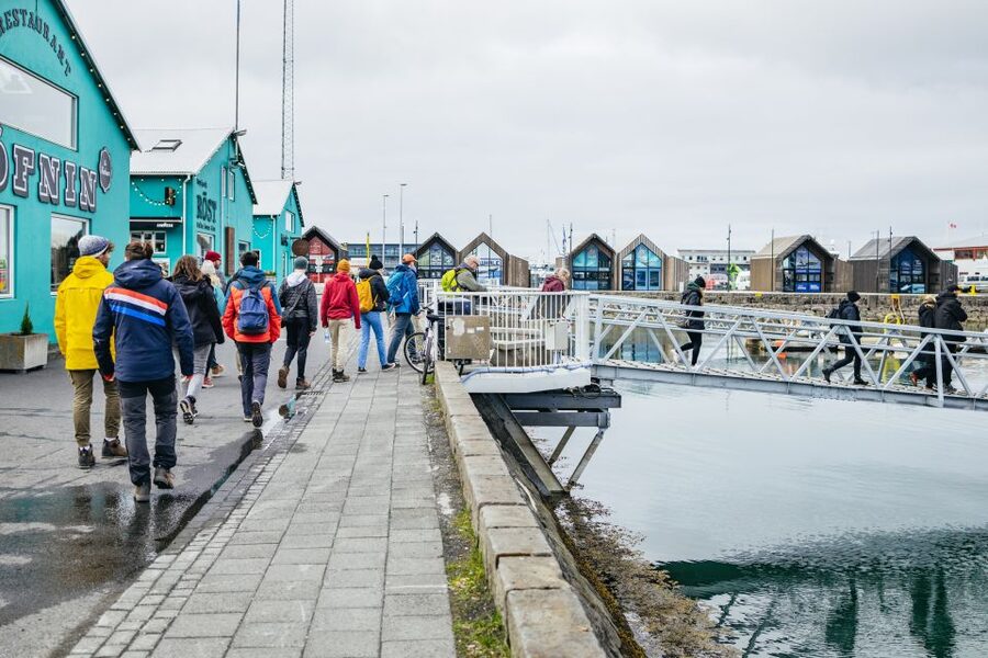 Reykjavik: Puffin Watching Boat Tour - How the tour works for families and different abilities