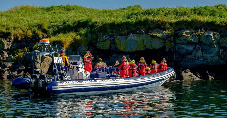 Reykjavik: Puffin Watching Tour - Key points to know before sailing