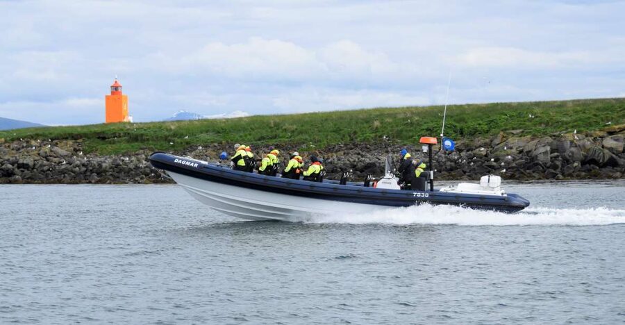 Reykjavik: Puffin Watching Tour by RIB Speedboat - A quick ride from Reykjavik’s Old Harbor