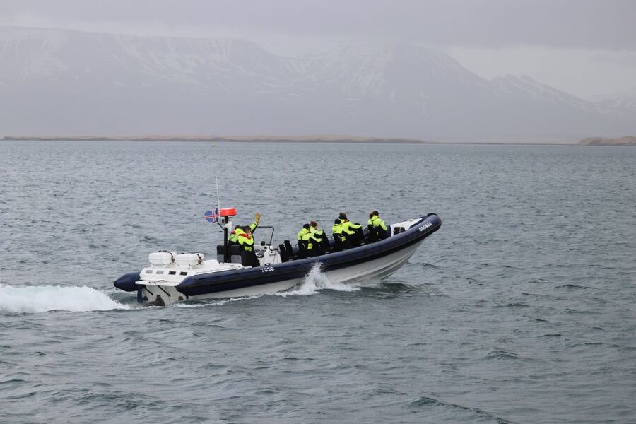 Reykjavik: Puffin Watching Tour by RIB Speedboat - More than puffins: fulmars, gulls, and Arctic terns