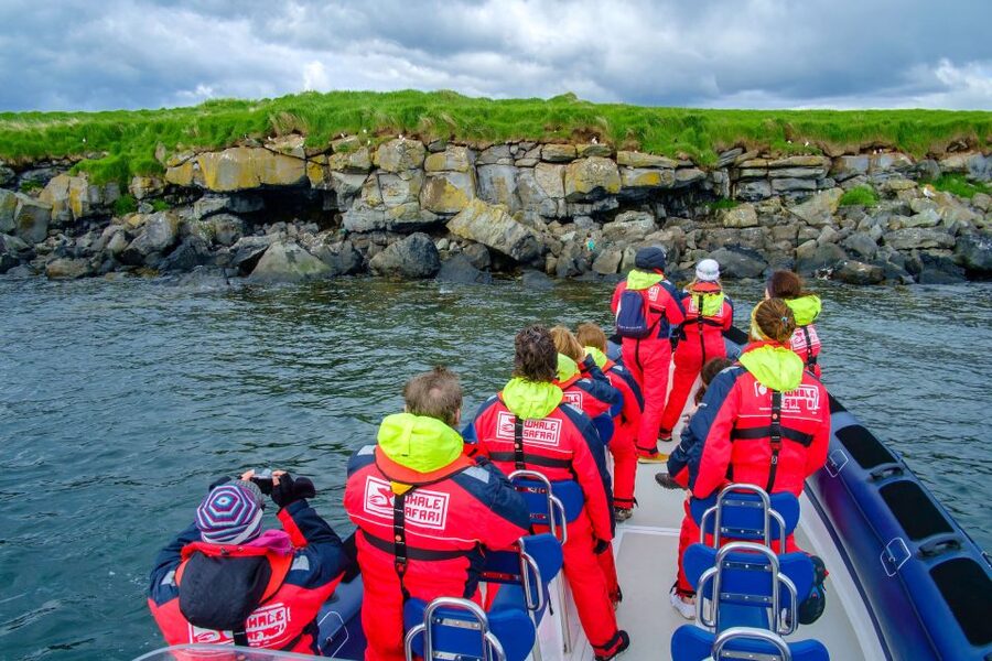 Reykjavik: Puffin Watching Tour - Reaching the puffin islands in about 15 minutes