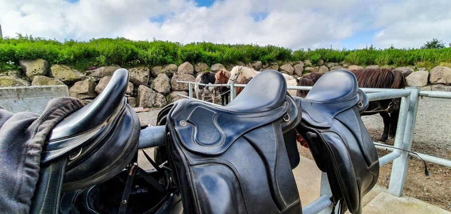 Reykjavik: Red Lava Horse Riding Tour - Guides who keep beginners at ease
