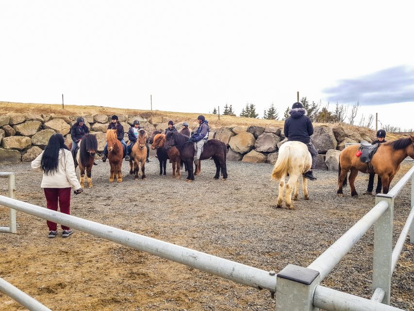 Reykjavik: Red Lava Horse Riding Tour - What the ride feels like in different seasons