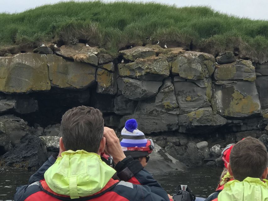 Reykjavík: RIB Speed-Boat Puffin Watching Tour - Reaching the puffin islands