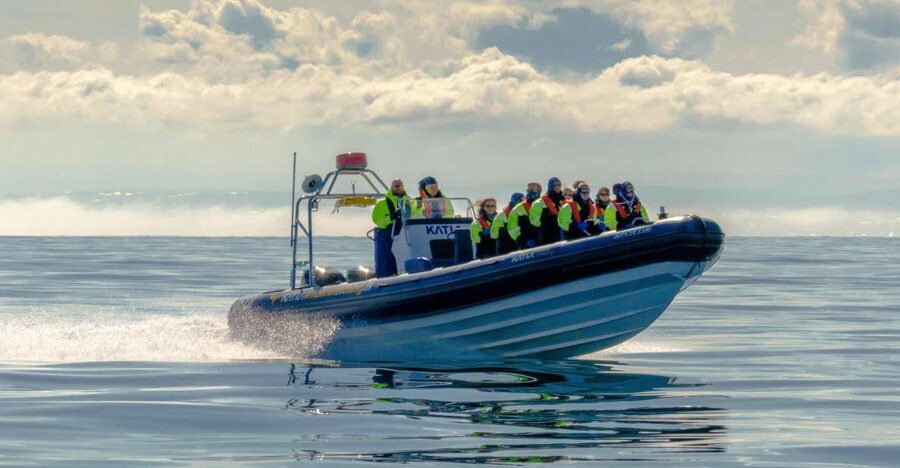 Reykjavík: RIB Speed-Boat Puffin Watching Tour - The return ride and what fits into one hour